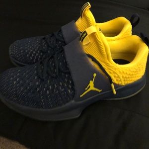 Michigan Jordan Trainers 2 Flyknit